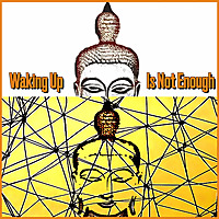 Waking Up Is Not Enough: Flourishing in the Human Space