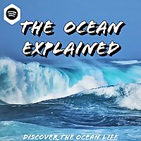 The Ocean Explained