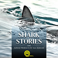 Shark Stories
