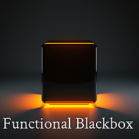 Functional Blackbox