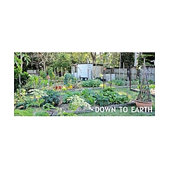 Down to Earth