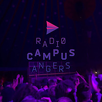 United We Skank - Dub