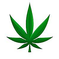 Groovy Hemp Company Blog