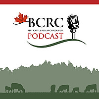 Canadian Beef Cattle Podcast