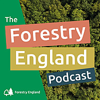 The Forestry England Podcast