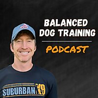 Balanced Dog Training With Suburban K9