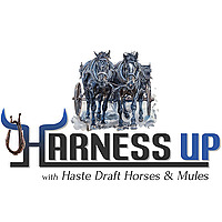 Harness Up! with Haste Draft Horses and Mules