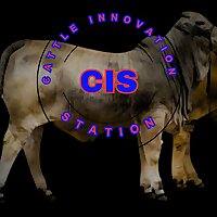 Cattle Innovation Station