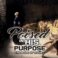 Poised In His Purpose Chosen to Display Gods Excellence