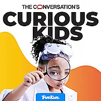 The Conversation's Curious Kids