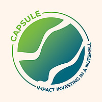 Capsule: Impact Investing in a Nutshell