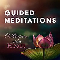 Guided Meditations
