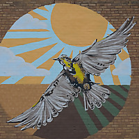 Common Ground: A Prairie Podcast