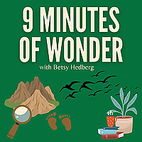 9 Minutes of Wonder
