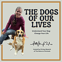 The Dogs of Our Lives