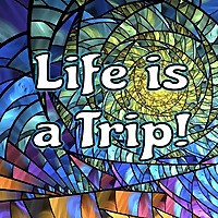 Life is a Trip! Reincarnation and Afterlife Stories