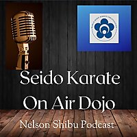 Seido Karate On Air Dojo