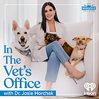 In The Vet's Office with Dr. Josie Horchak
