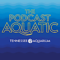 The Podcast Aquatic