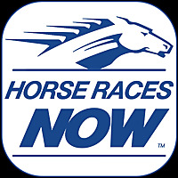 Horses Races Now