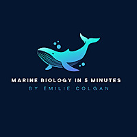 Marine Biology in 5 Minutes