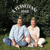 &Aacute; pl&aacute;netunni j&ouml;r&eth;