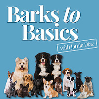 Barks to Basics