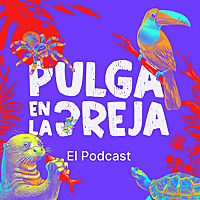 Pulga en la Oreja
