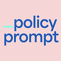 Policy Prompt