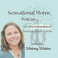Sensational Moms: Support For Overstimulated Moms
