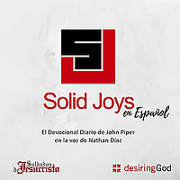 Solid Joys en Espa&ntilde;ol