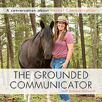 The Grounded Communicator
