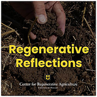 Regenerative Reflections