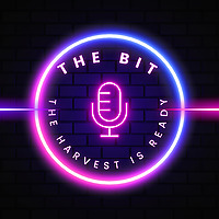 The Bit Podcast