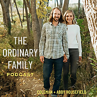 The Ordinary Family