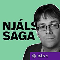 Nj&aacute;ls saga