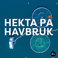 Hekta p&aring; Havbruk