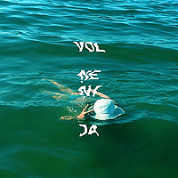 Vol.