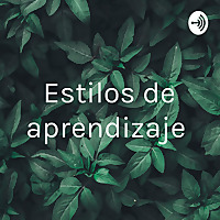Estilos de aprendizaje
