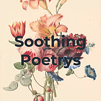 Hindi Poetrys