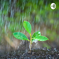 relaxing sound Of Nature