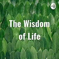 The Wisdom of Life with Chad Stoloff