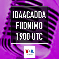 Idaacadda Fiidnimo - VOA
