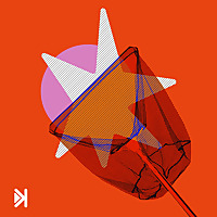 Проблемолови