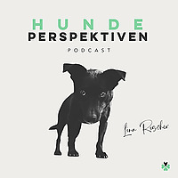 Hundeperspektiven