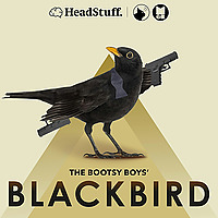 The Bootsy Boys' Blackbird