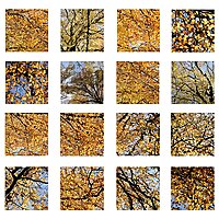 Sound mosaics for a broken world