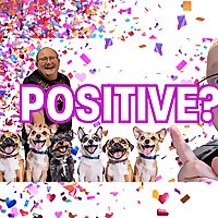 Living With Positivity