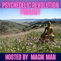 Psychedelic-Revolution