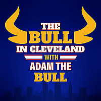 The Bull In Cleveland